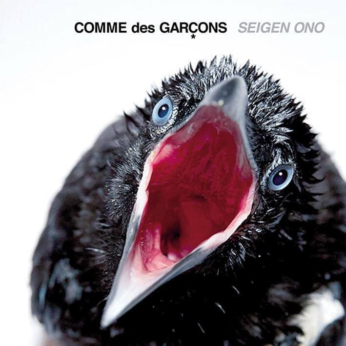 COMME des GARÇONS
