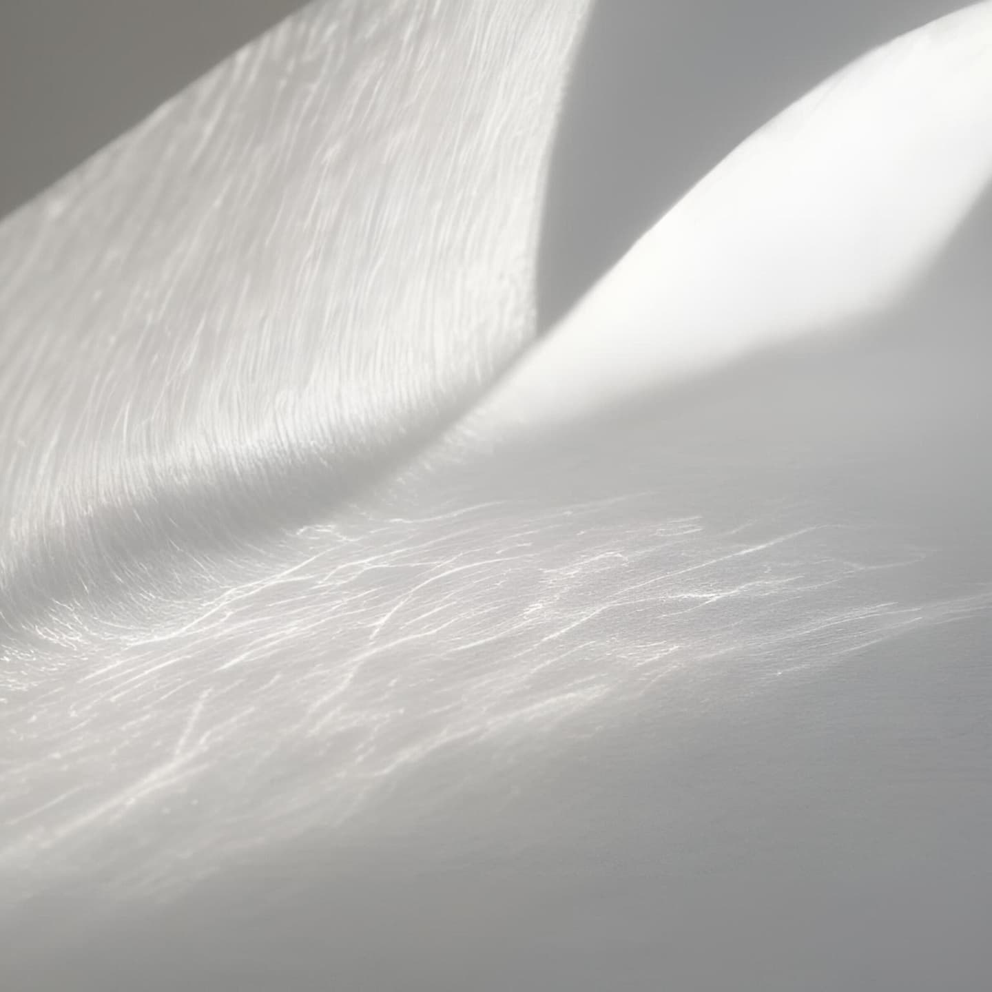 Edson Natale Nina Maika